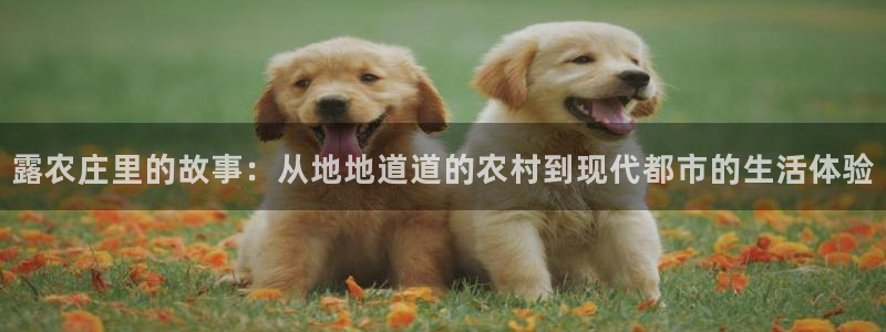 天辰娱乐扣钱