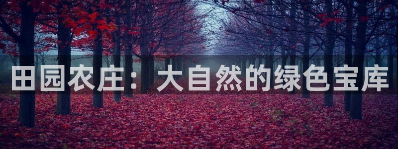 天辰娱乐481928