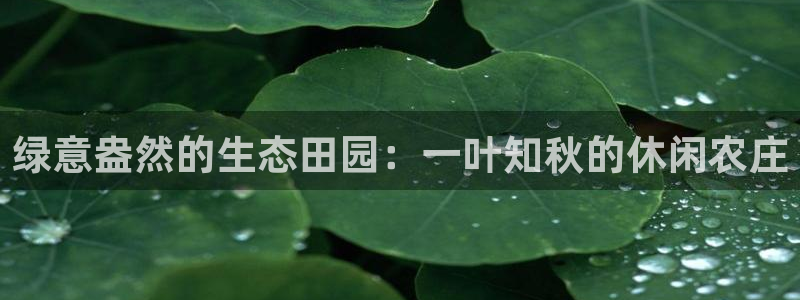 天辰娱乐 728567