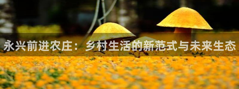 手机上怎么下载天辰娱乐