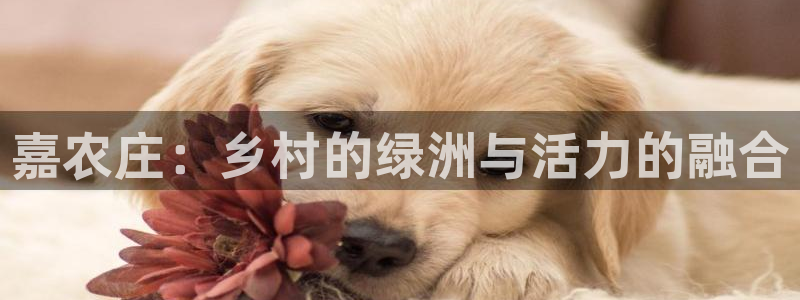 天辰娱乐557696