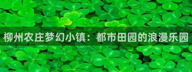 天辰娱乐网址娱乐游戏
