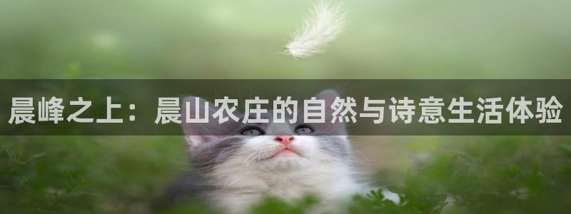 天富天辰娱乐