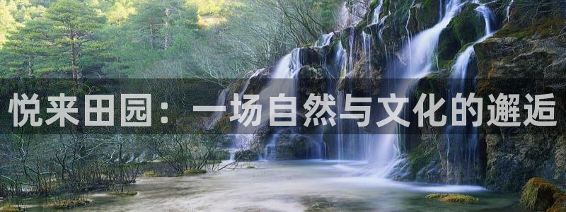 天辰娱乐鱼刺