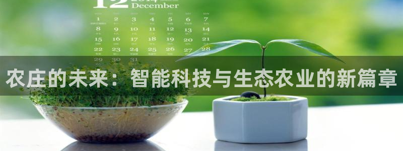 天辰娱乐44516