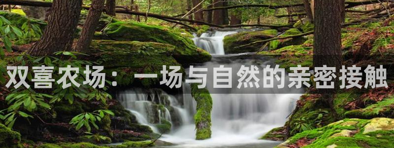 天辰娱乐官方登录下载