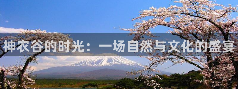 天辰娱乐直属