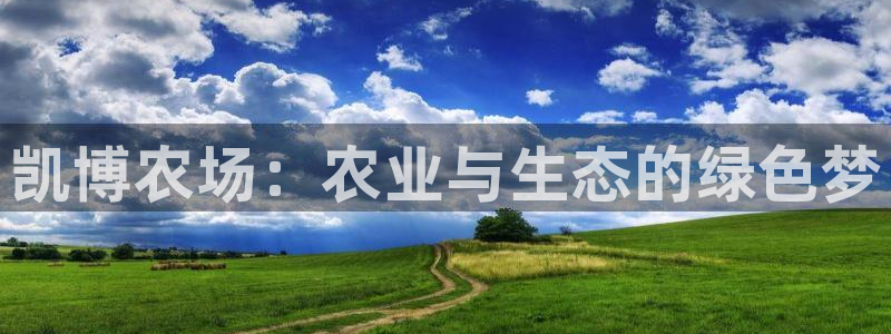 天辰娱乐51137