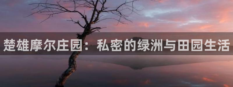 天辰娱乐网