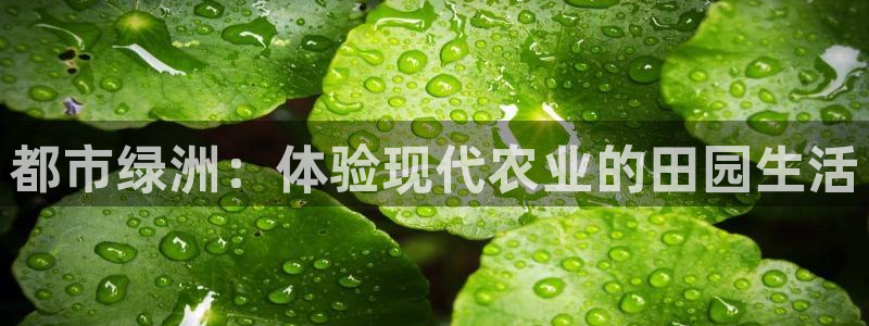 天辰娱乐待遇