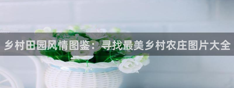天辰娱乐股东