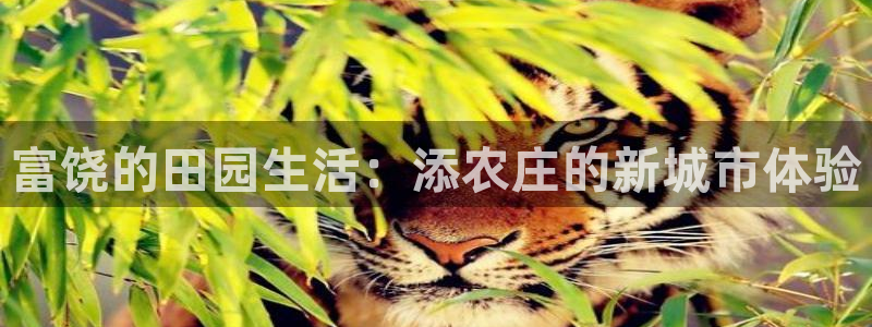 天辰娱乐集团