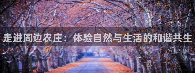 天辰娱乐957807