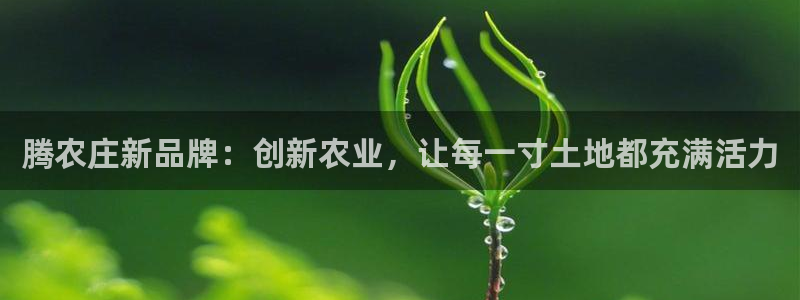 天富娱乐与天辰娱乐