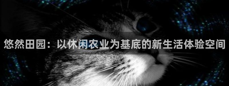 天辰娱乐链接