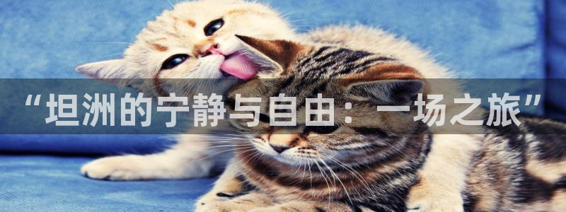 哈尔滨天辰娱乐