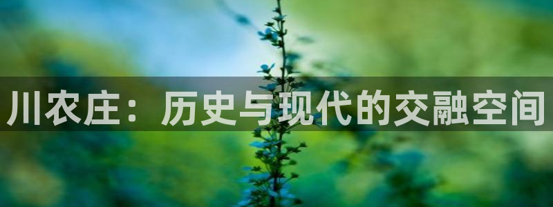 天辰线上娱乐