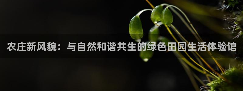 天辰娱乐在哪