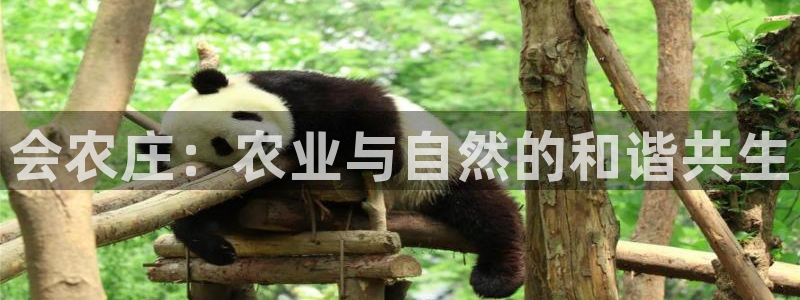 天辰娱乐平台app下载
