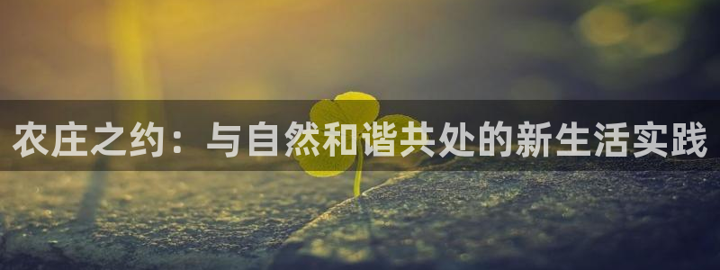 深圳天辰娱乐
