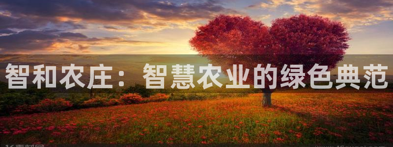天辰娱乐卡