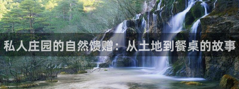 天辰娱乐44616