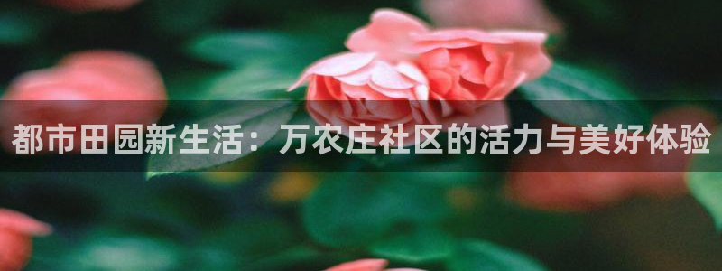 天辰娱乐登陆
