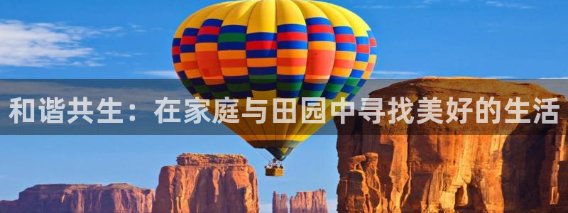 天富天辰娱乐