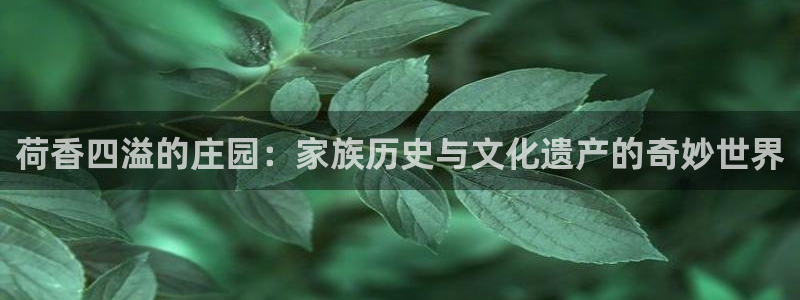 天辰登陆娱乐