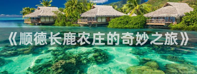 天辰娱乐官方网