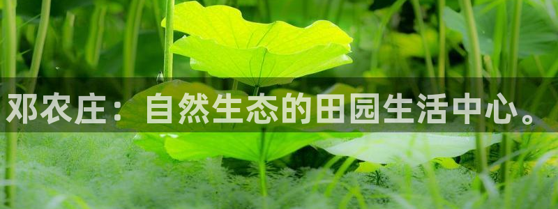 天辰娱乐简介