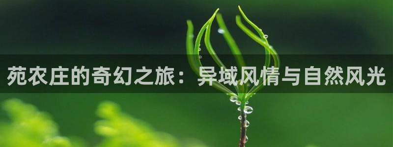 天辰娱乐新闻