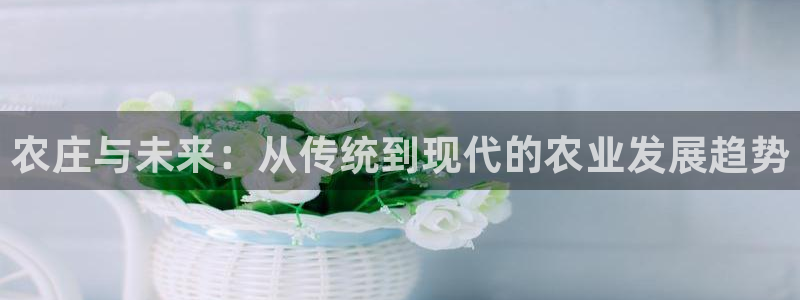 天辰娱乐1956
