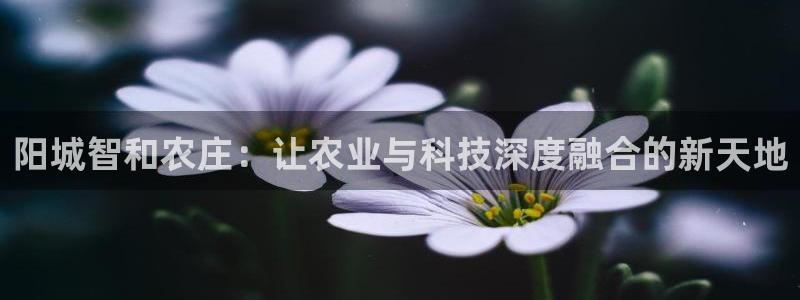 手机上怎么下载天辰娱乐