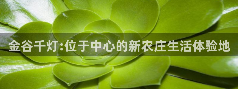 大庆天辰娱乐