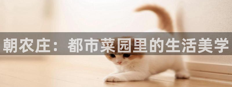 天辰娱乐728567