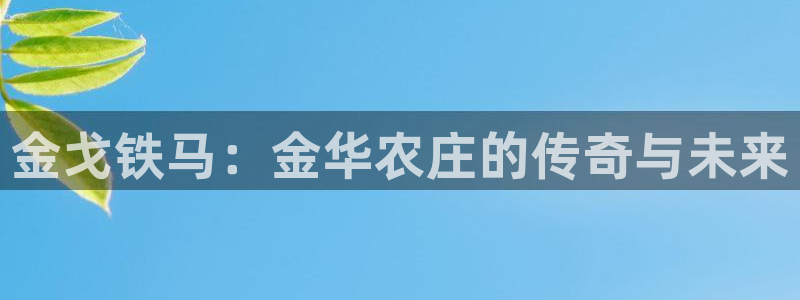 天辰娱乐客服