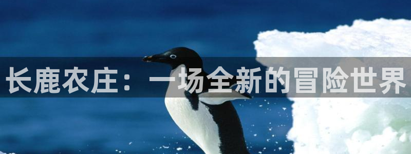 北京天辰娱乐