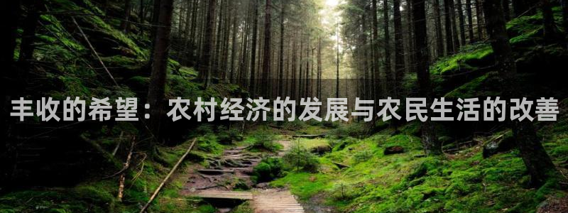 天辰娱乐总管