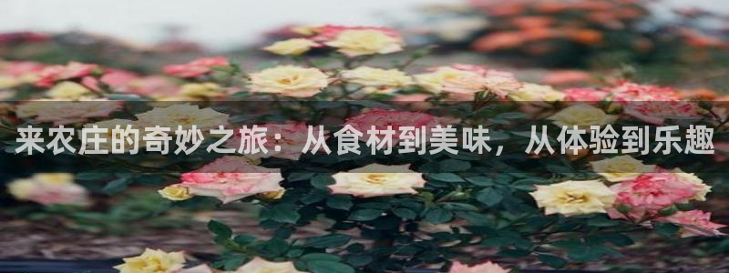 天辰娱乐线路