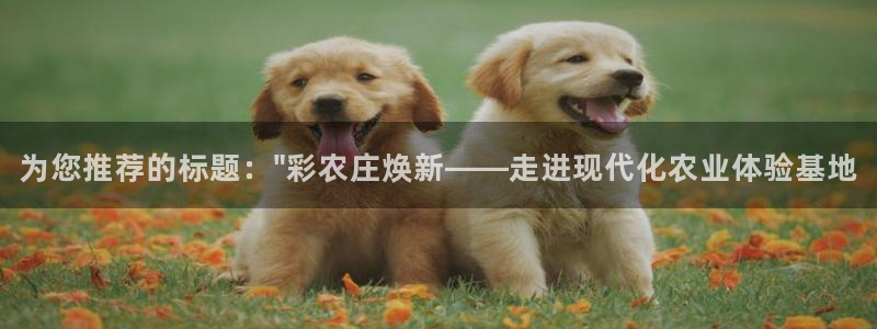 天辰娱乐老板