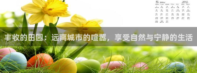 天辰娱乐维护