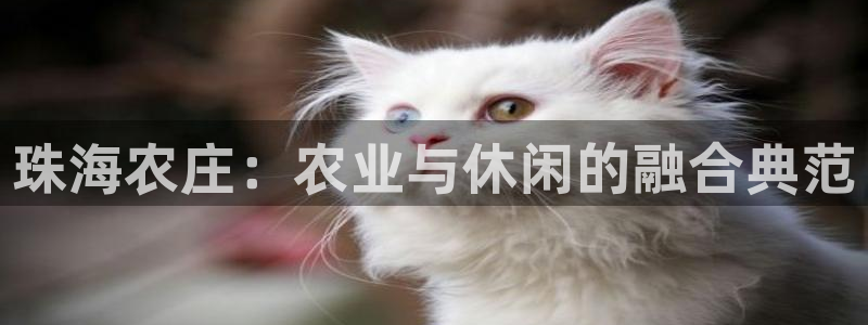天辰娱乐代理