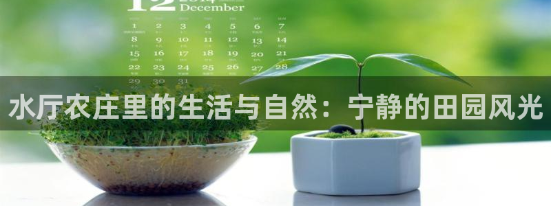 天辰辰娱乐代理