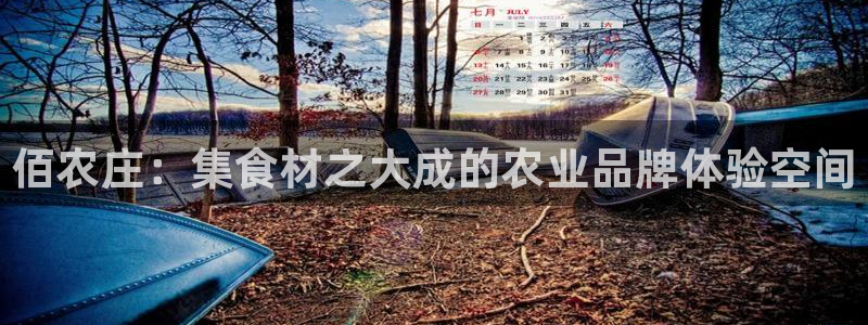 天辰娱乐 主管