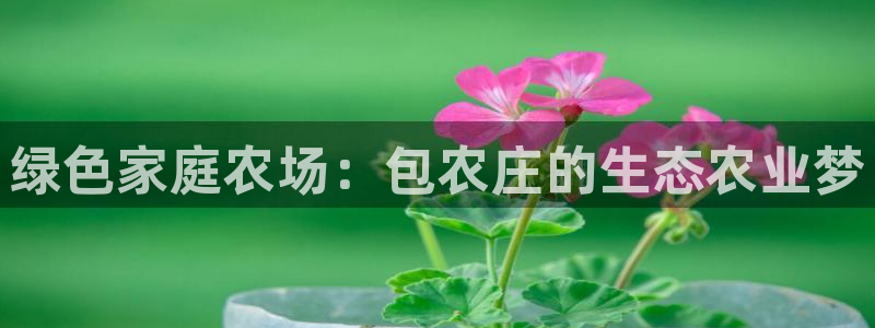 天辰说娱乐