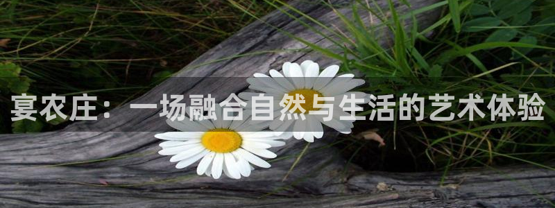 广东天辰娱乐