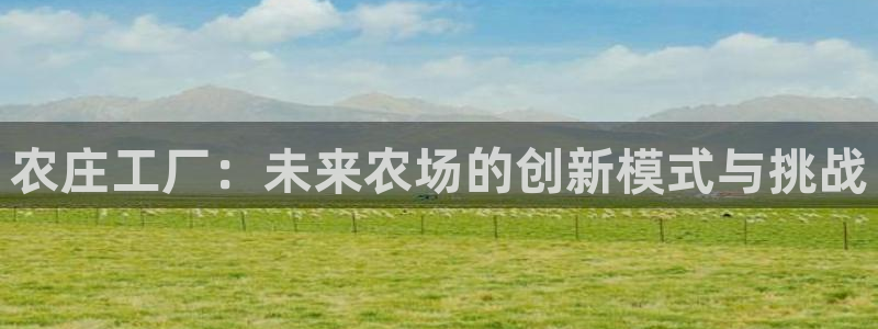 天辰娱乐所