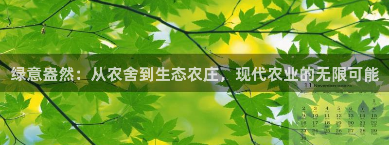 广东天辰娱乐