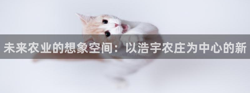 天辰娱乐下载地址